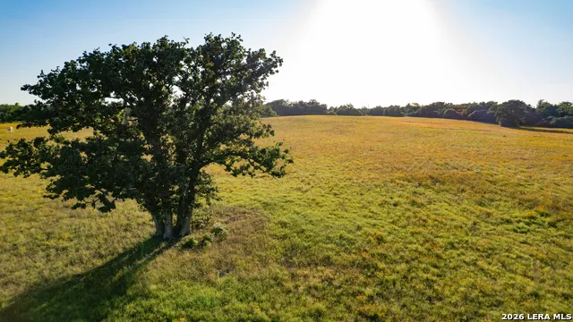 7323 Private Road 4173 Marquez, TX 77865