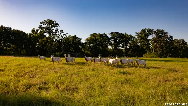 7323 Private Road 4173 Marquez, TX 77865