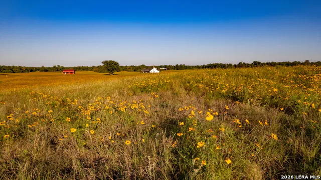 7323 Private Road 4173 Marquez, TX 77865
