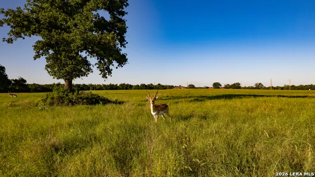 7323 Private Road 4173 Marquez, TX 77865
