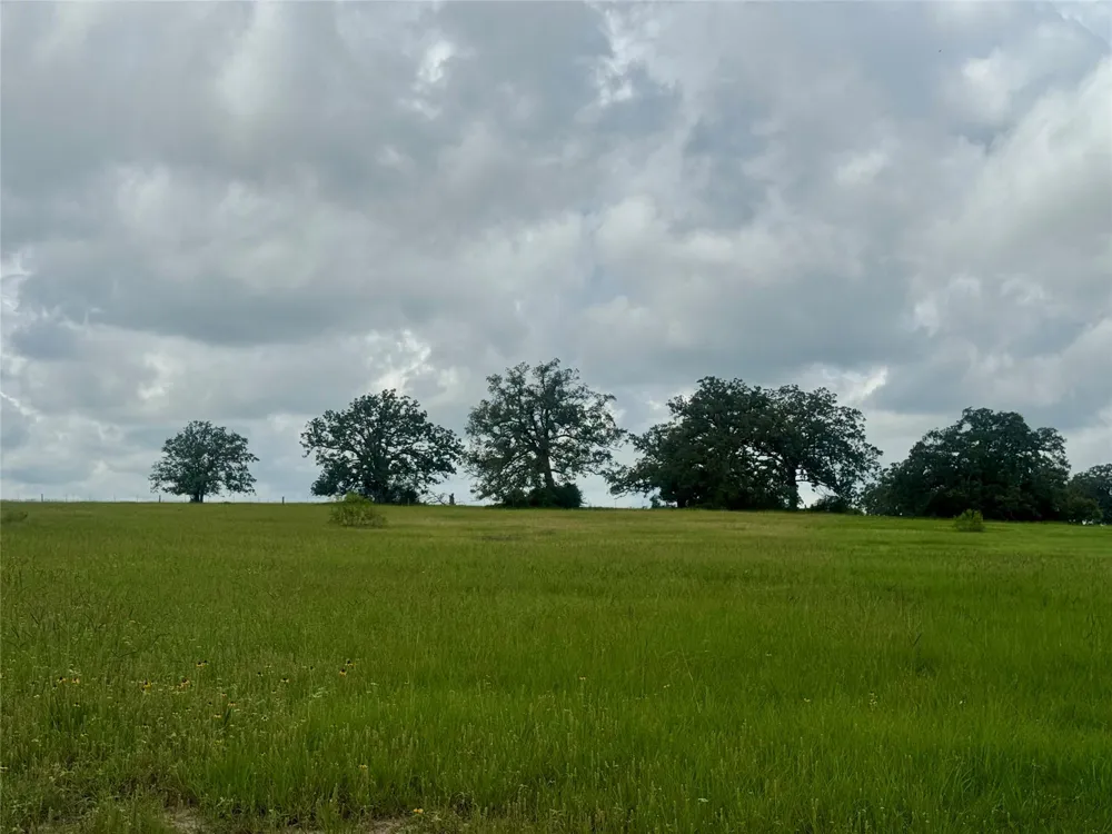 1390 Connor Landing Madisonville, TX 77864