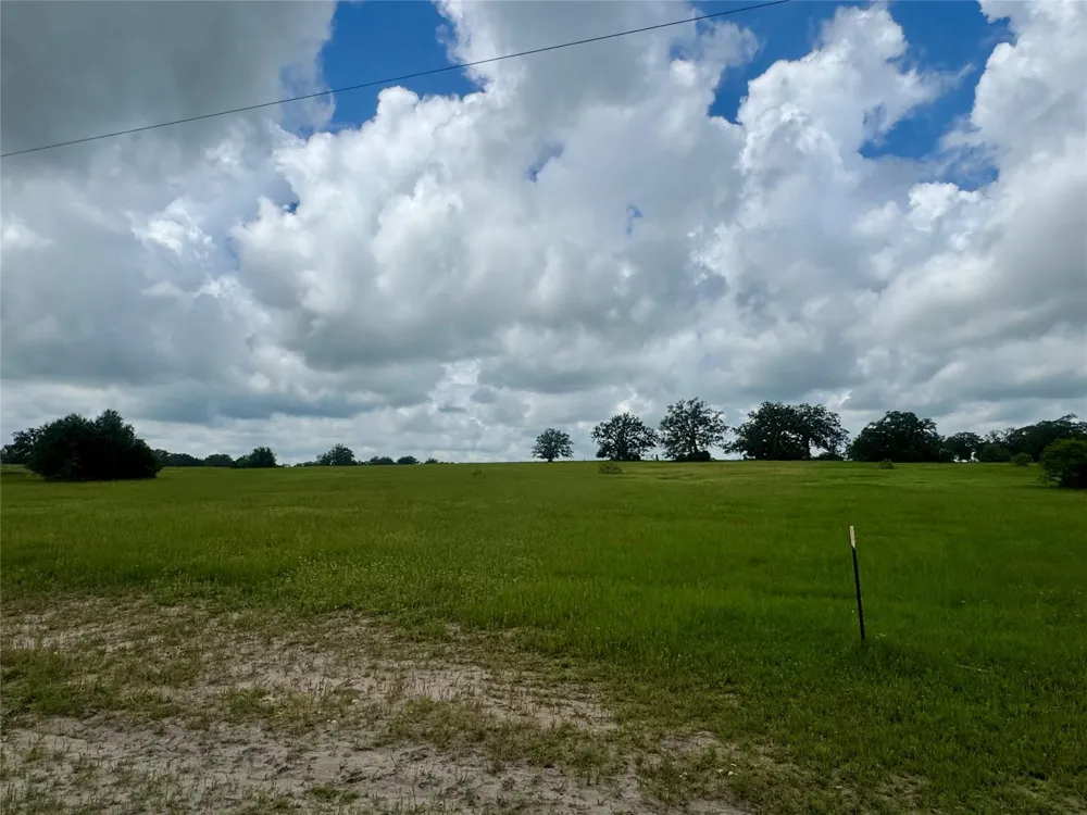 1390 Connor Landing Madisonville, TX 77864