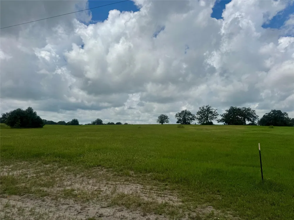 1390 Connor Landing Madisonville, TX 77864