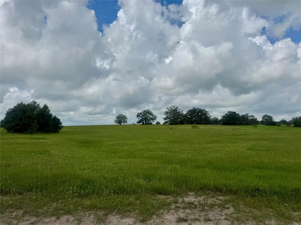 1390 Connor Landing Madisonville, TX 77864