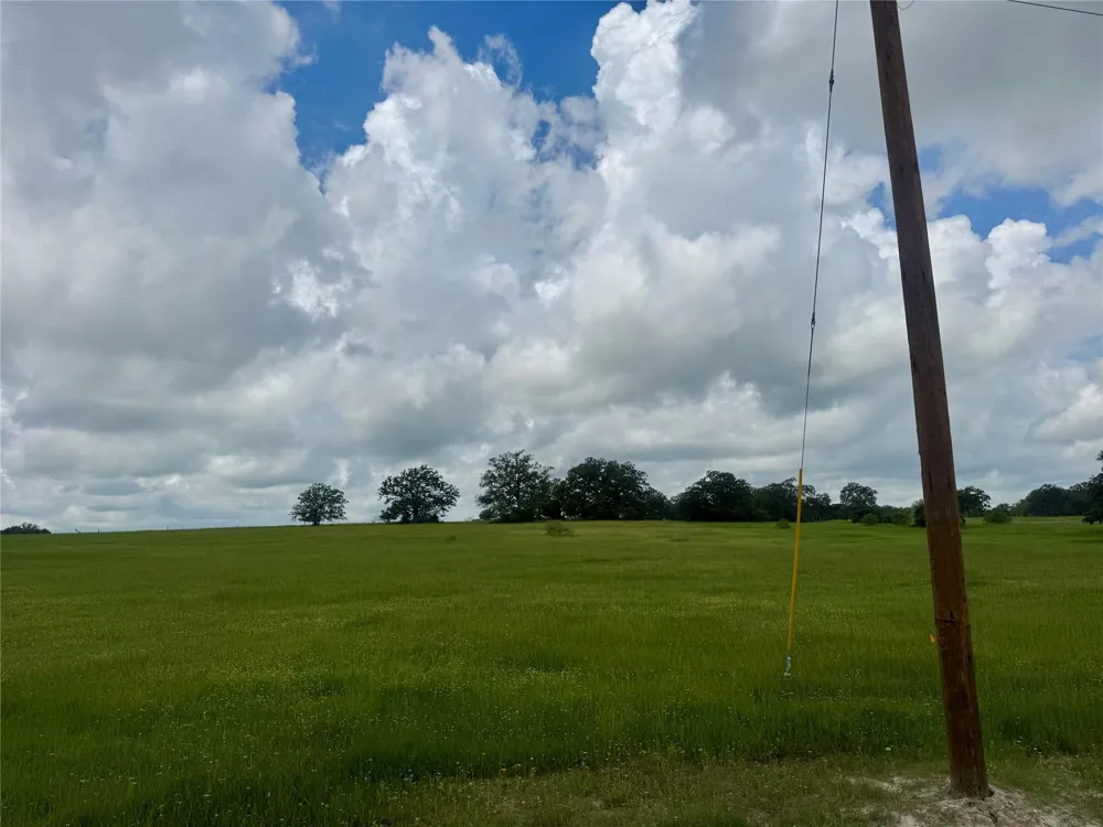 1390 Connor Landing Madisonville, TX 77864