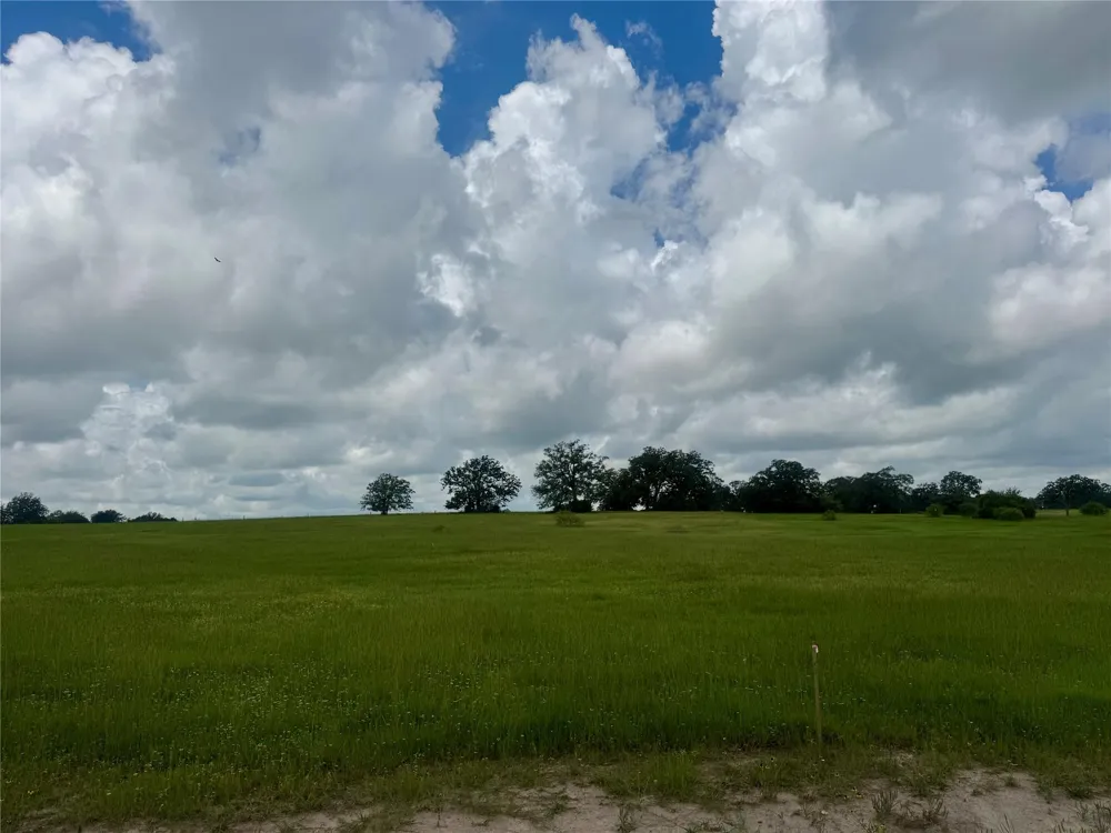 1390 Connor Landing Madisonville, TX 77864
