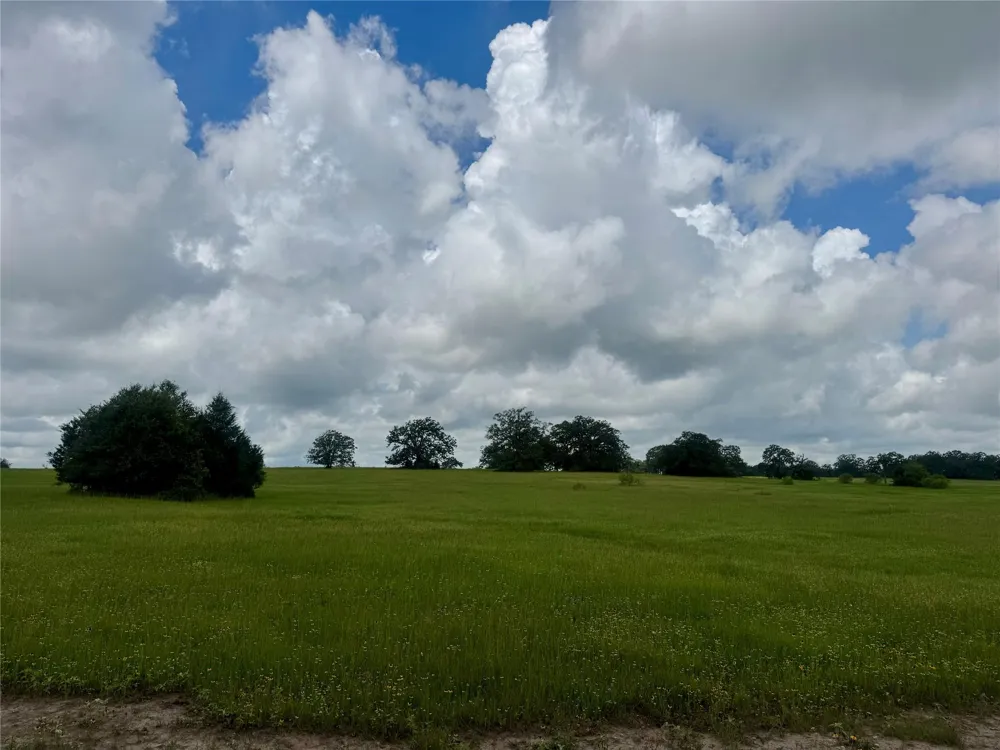 1390 Connor Landing Madisonville, TX 77864