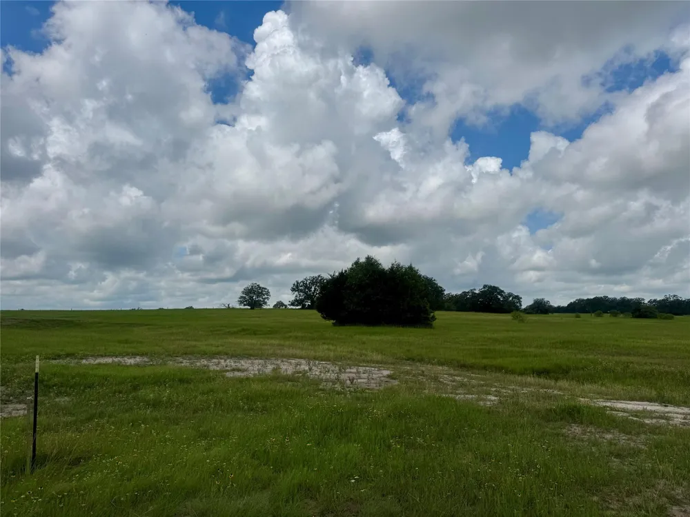 1390 Connor Landing Madisonville, TX 77864