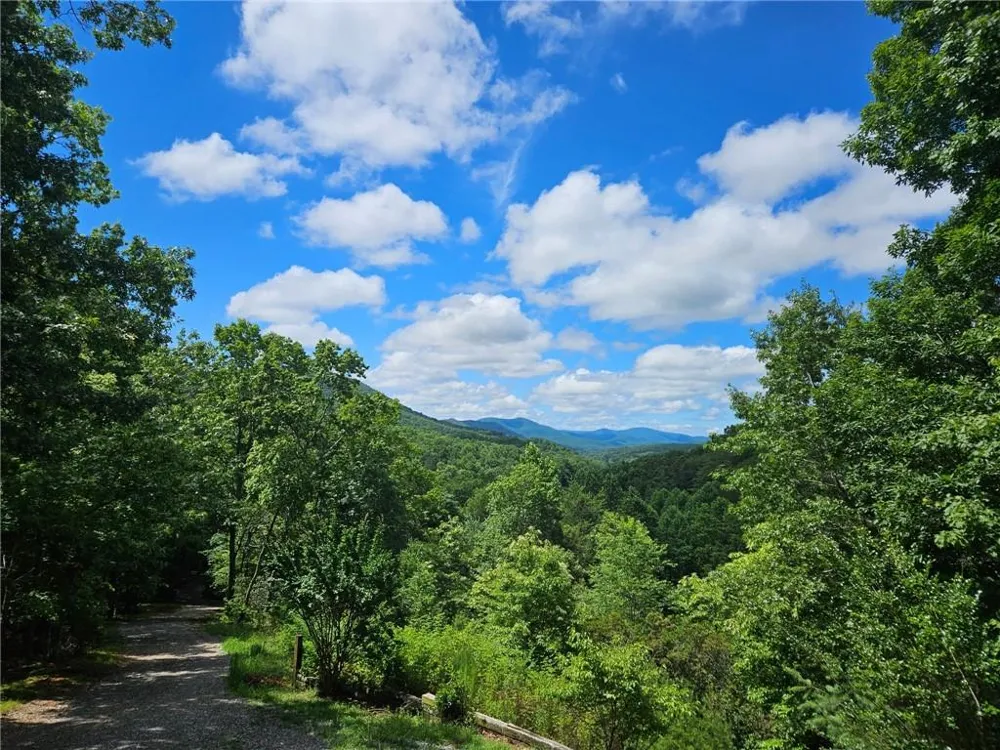 32 Ivey Ridge Road Suches, GA 30572