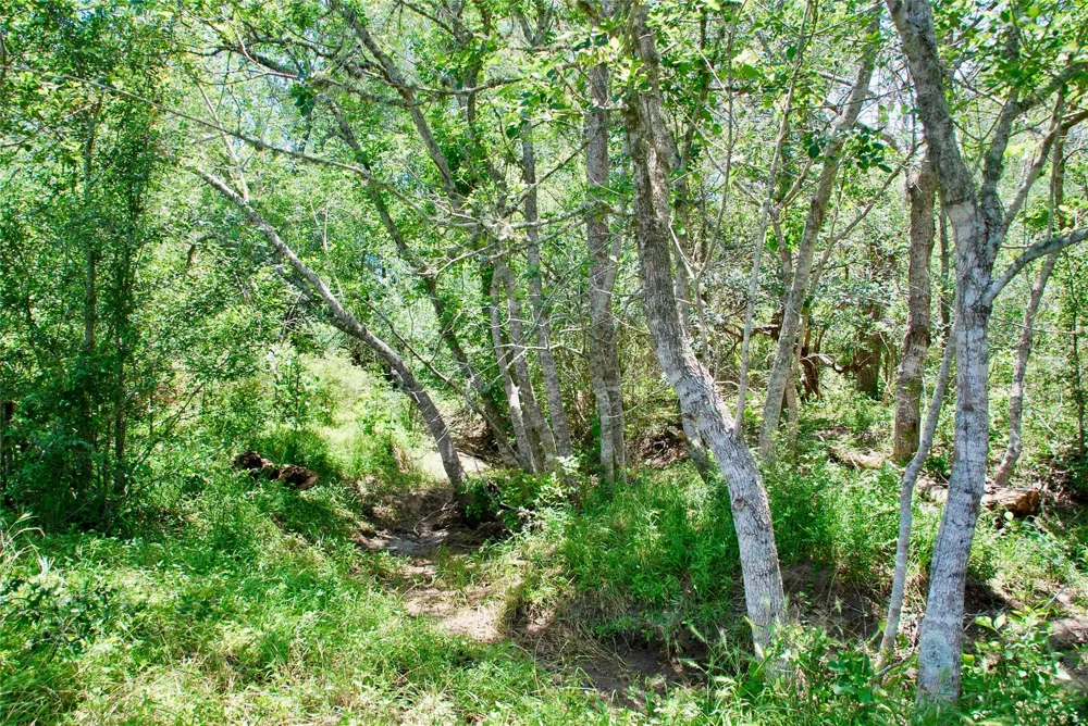 2170 Langdon Road Weimar, TX 78962