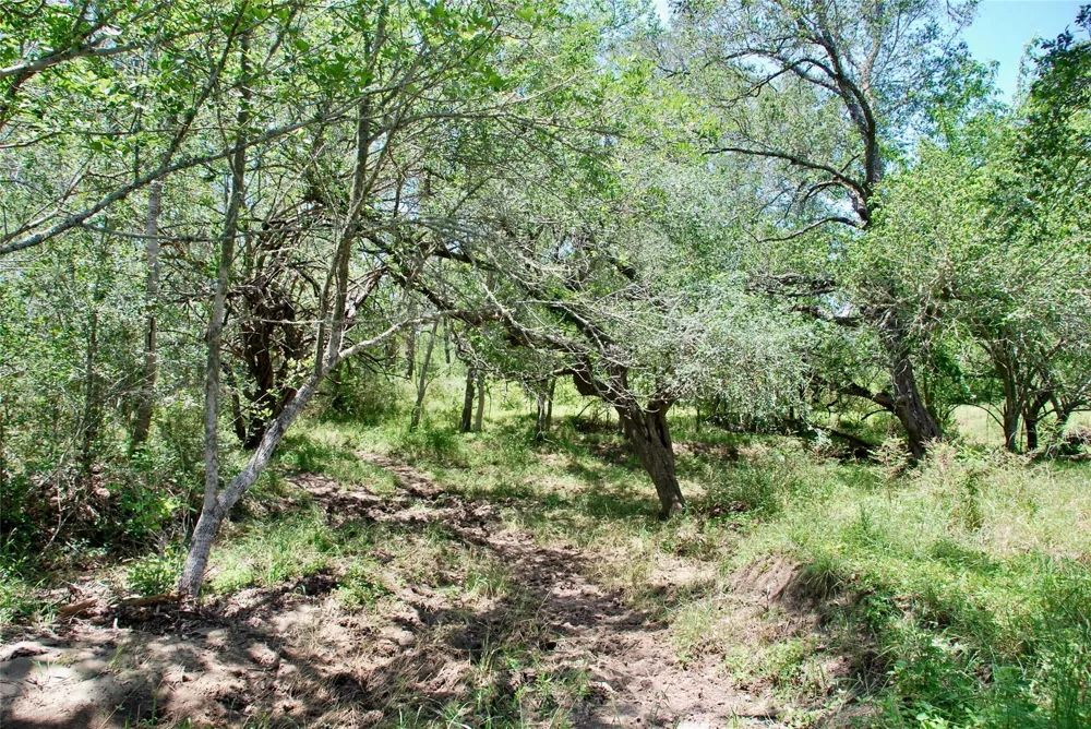 2170 Langdon Road Weimar, TX 78962