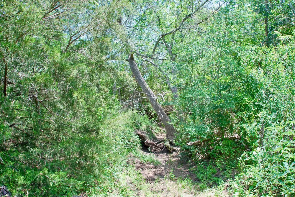 2170 Langdon Road Weimar, TX 78962