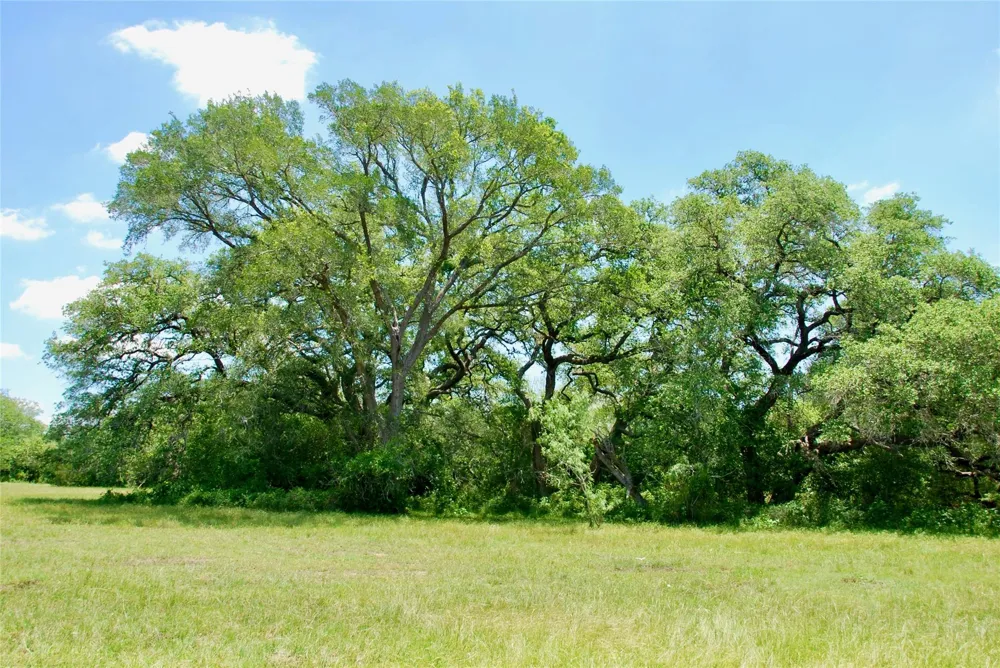 2170 Langdon Road Weimar, TX 78962