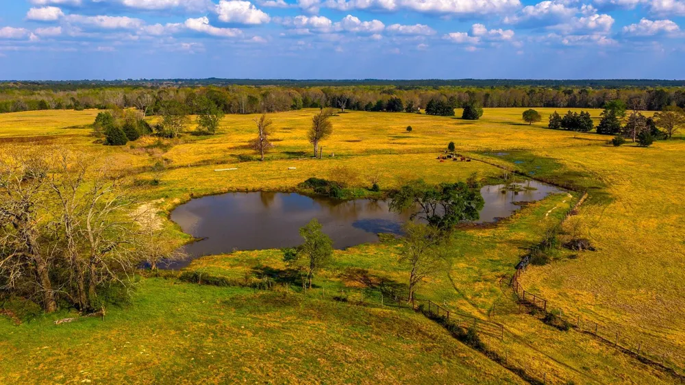 3588 County Road 4608 Troup, TX 75789