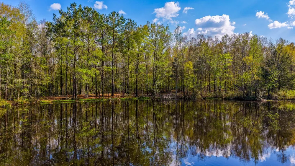 3588 County Road 4608 Troup, TX 75789