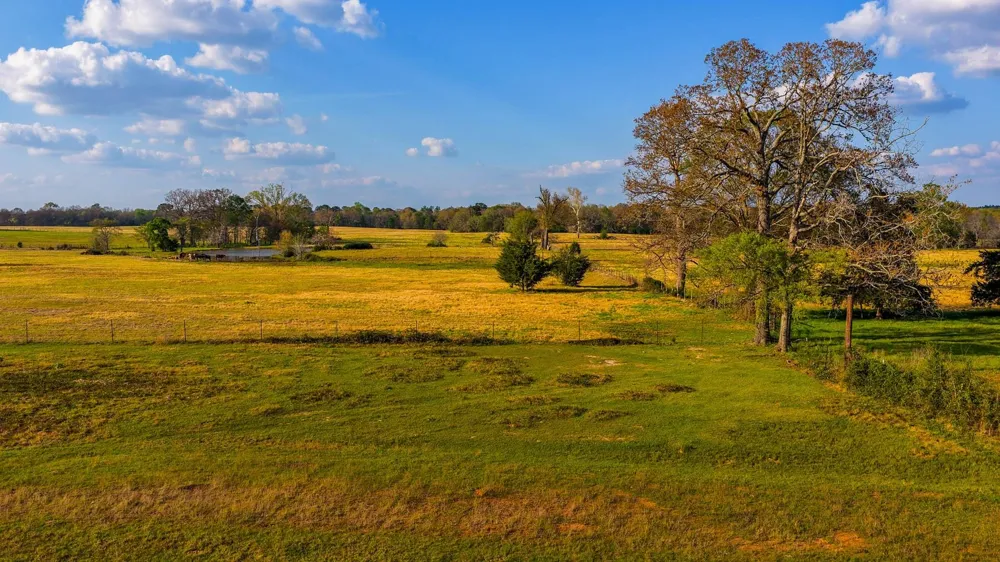 3588 County Road 4608 Troup, TX 75789