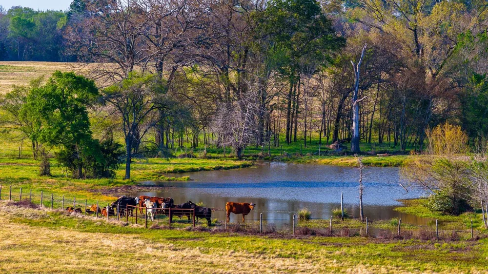 3588 County Road 4608 Troup, TX 75789