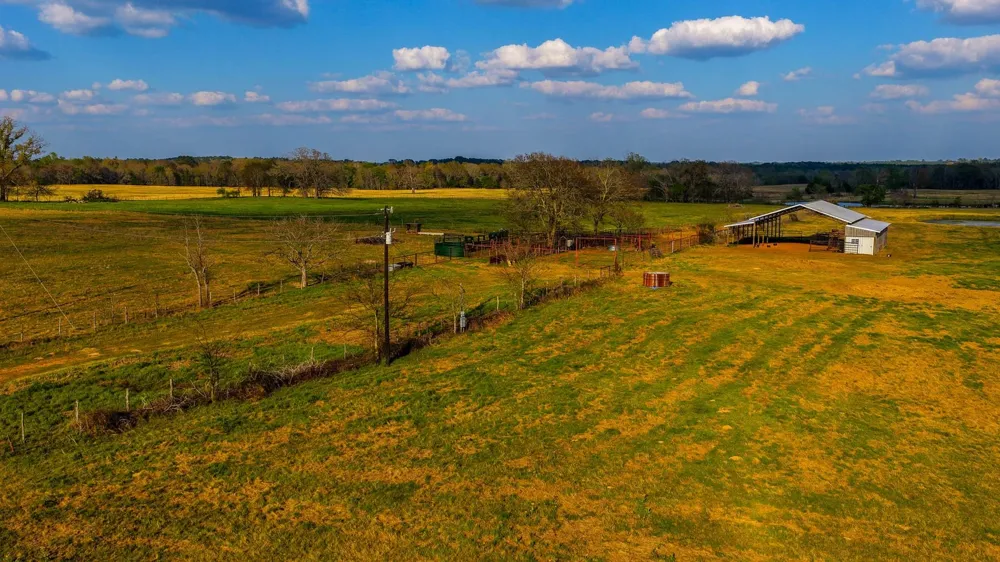 3588 County Road 4608 Troup, TX 75789