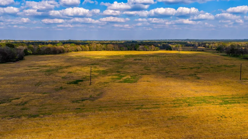 3588 County Road 4608 Troup, TX 75789