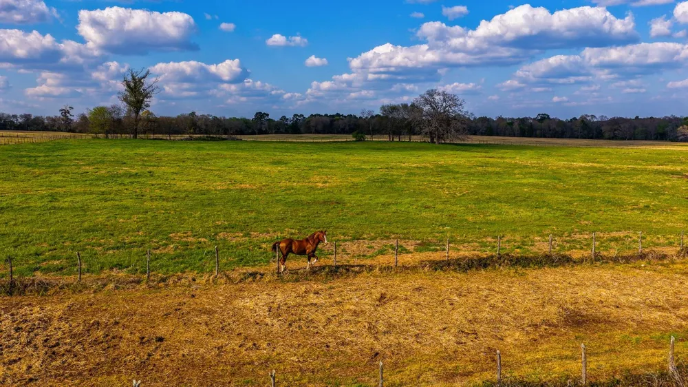3588 County Road 4608 Troup, TX 75789