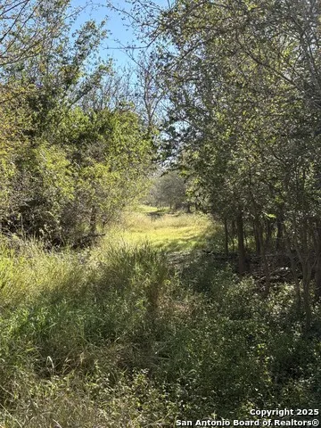 0 Iuka Charlotte, TX 78065