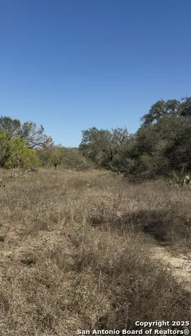 0 Iuka Charlotte, TX 78065