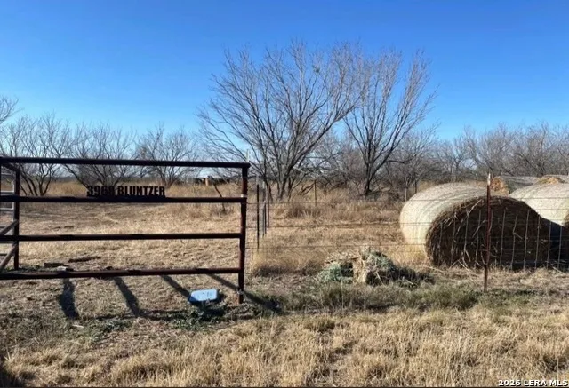 3968 Bluntzer Rd Jourdanton, TX 78026