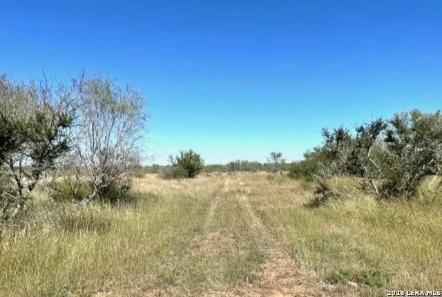3968 Bluntzer Rd Jourdanton, TX 78026