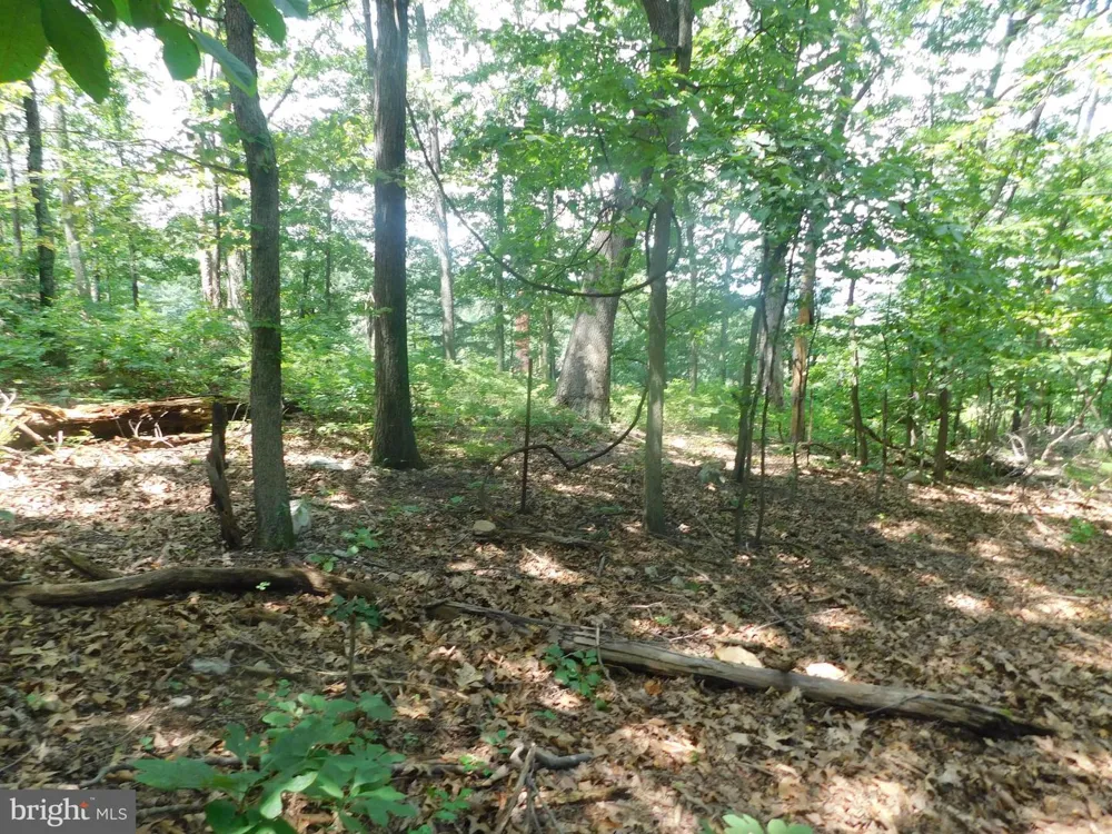 LARKIN RIDGE ROAD Front Royal, VA 22630