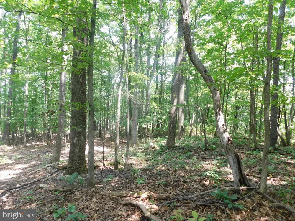 LARKIN RIDGE ROAD Front Royal, VA 22630