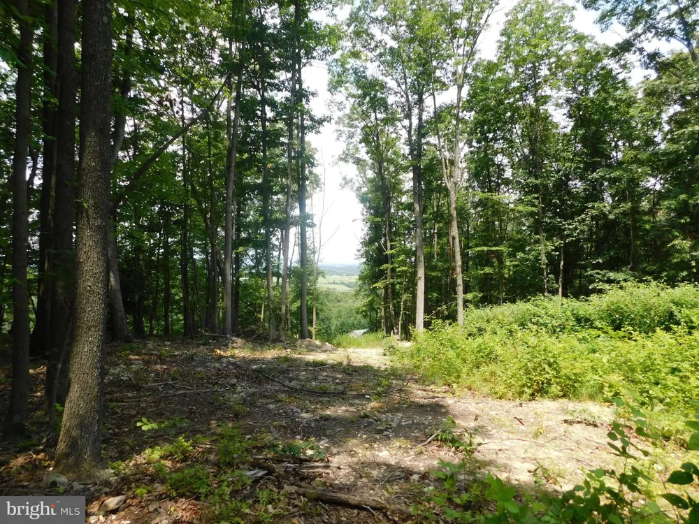 LARKIN RIDGE ROAD Front Royal, VA 22630