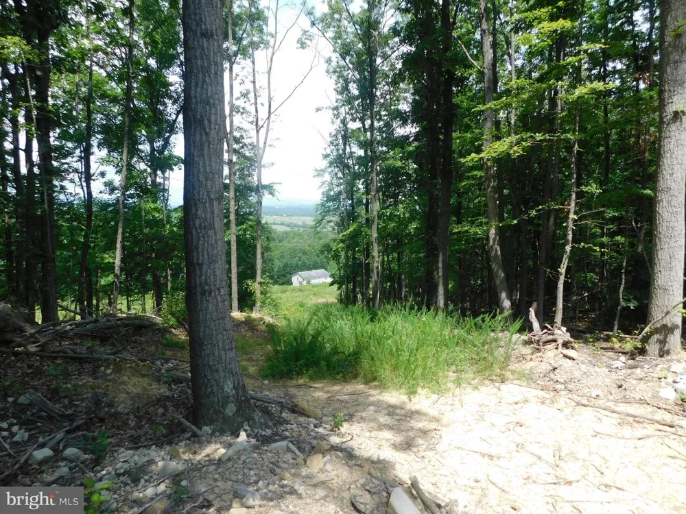 LARKIN RIDGE ROAD Front Royal, VA 22630