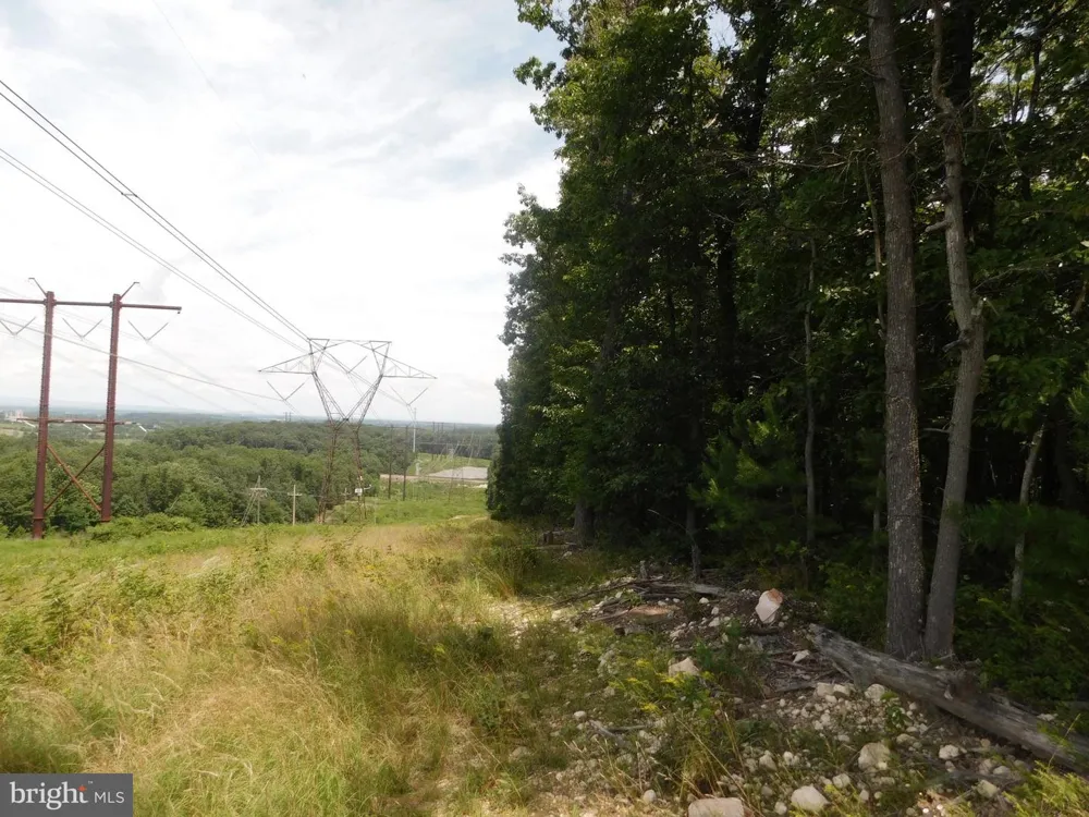 LARKIN RIDGE ROAD Front Royal, VA 22630