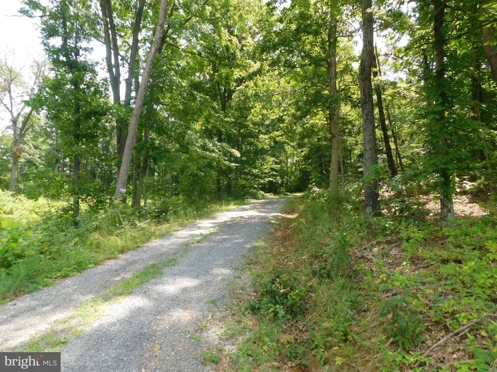 LARKIN RIDGE ROAD Front Royal, VA 22630