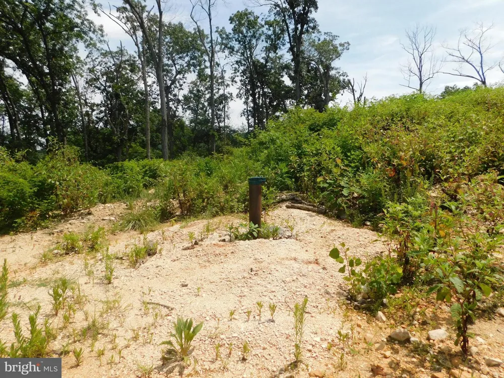 LARKIN RIDGE ROAD Front Royal, VA 22630