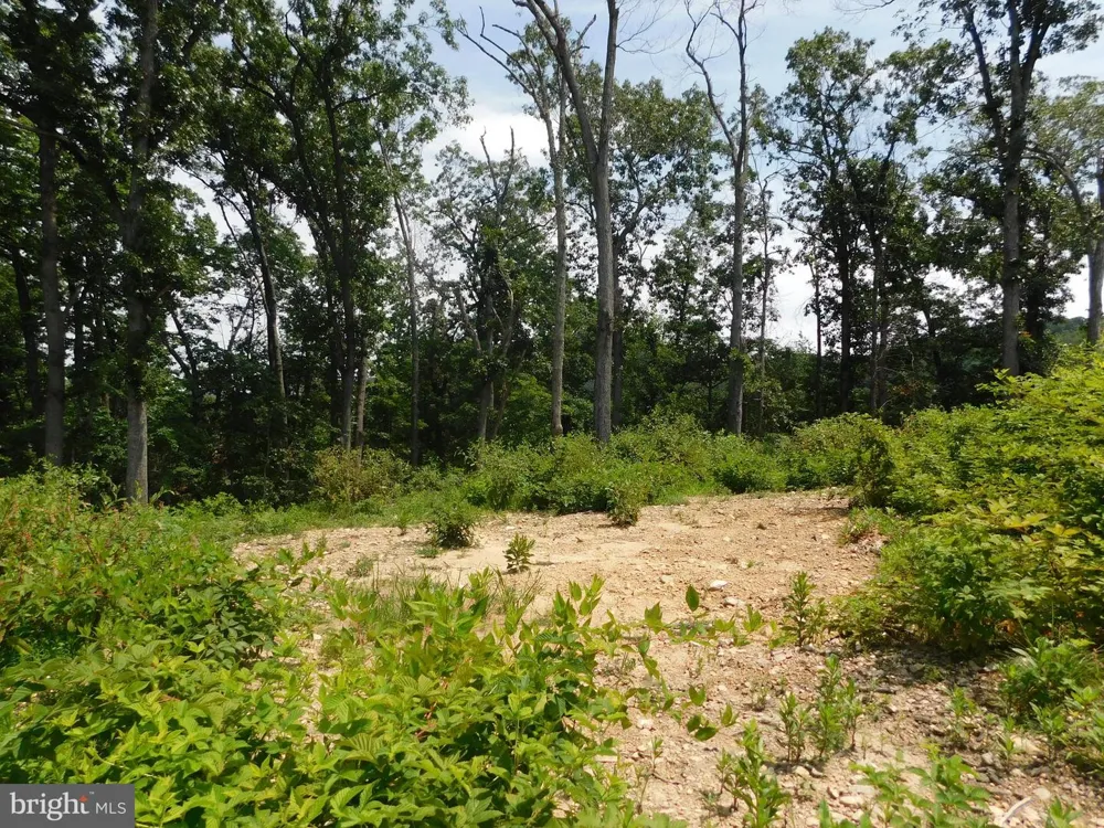 LARKIN RIDGE ROAD Front Royal, VA 22630