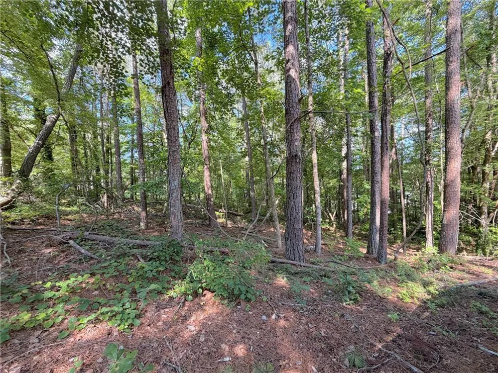 1306 Southgate Drive Villa Rica, GA 30180