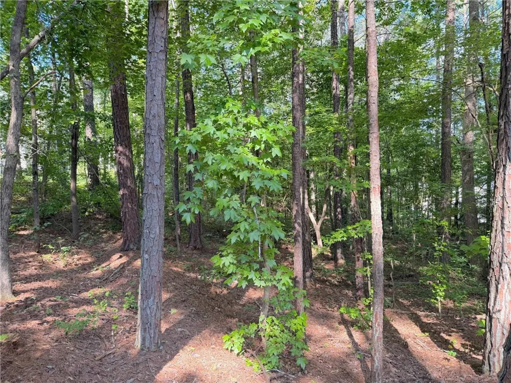 1306 Southgate Drive Villa Rica, GA 30180