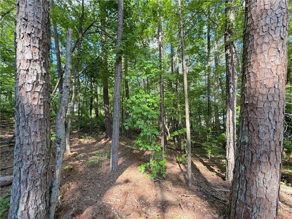 1306 Southgate Drive Villa Rica, GA 30180