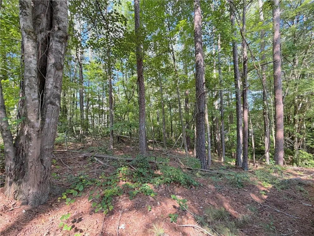 1306 Southgate Drive Villa Rica, GA 30180