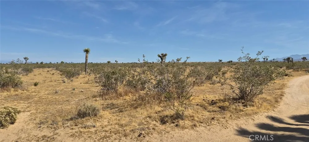 1 La Mesa Road Phelan, CA 92371