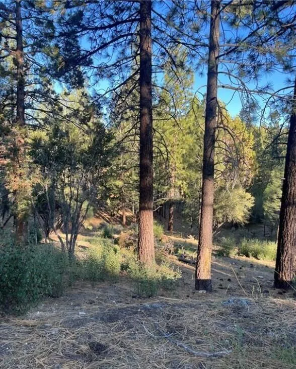 545 Division Drive Big Bear, CA 92314