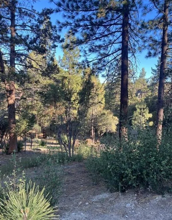 545 Division Drive Big Bear, CA 92314