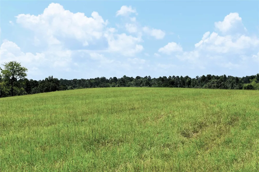 8034 E County Road 212 Buffalo, TX 75831