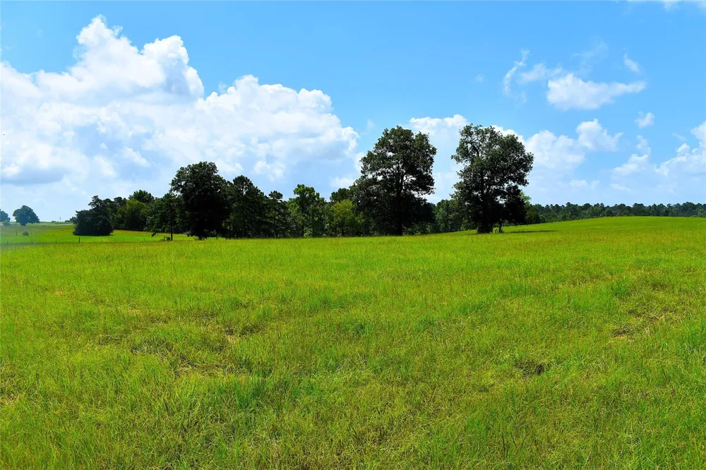 8034 E County Road 212 Buffalo, TX 75831