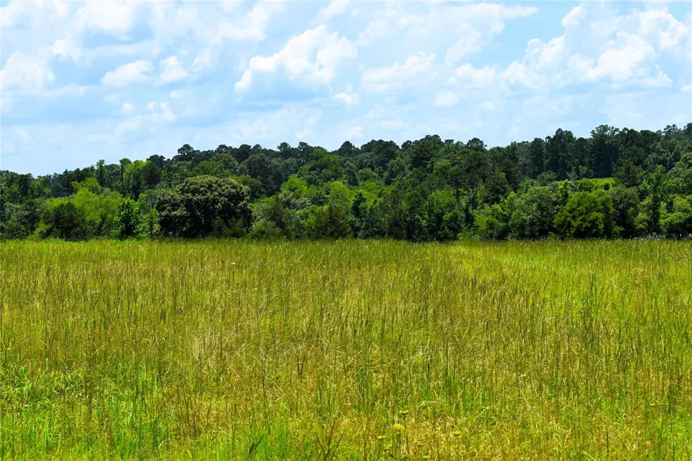 8034 E County Road 212 Buffalo, TX 75831