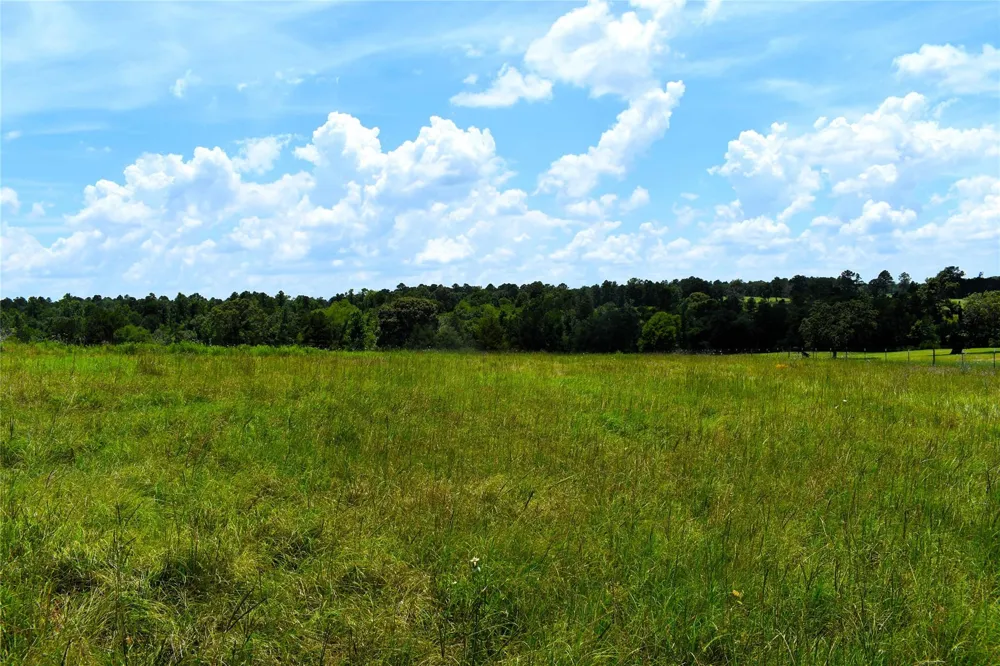 8034 E County Road 212 Buffalo, TX 75831