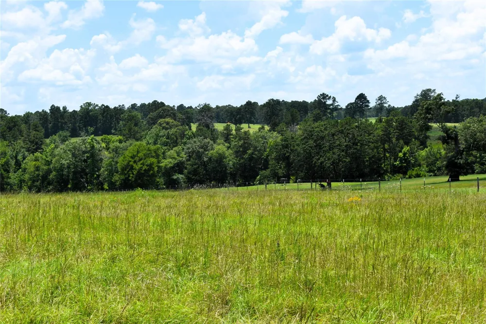8034 E County Road 212 Buffalo, TX 75831