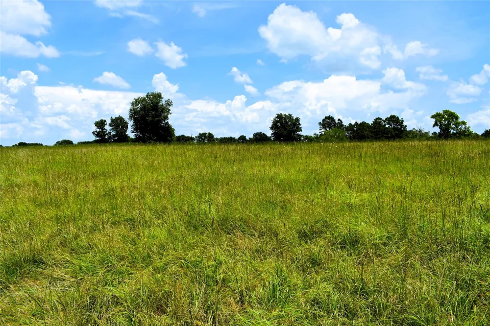 8034 E County Road 212 Buffalo, TX 75831