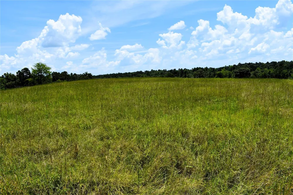 8034 E County Road 212 Buffalo, TX 75831